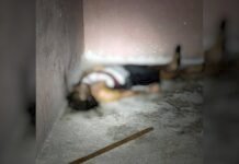 Brasileño muere tras tocar cables de alta tensión en Nuevo Laredo Brasileño muere tras tocar cables de alta tensión en Nuevo Laredo