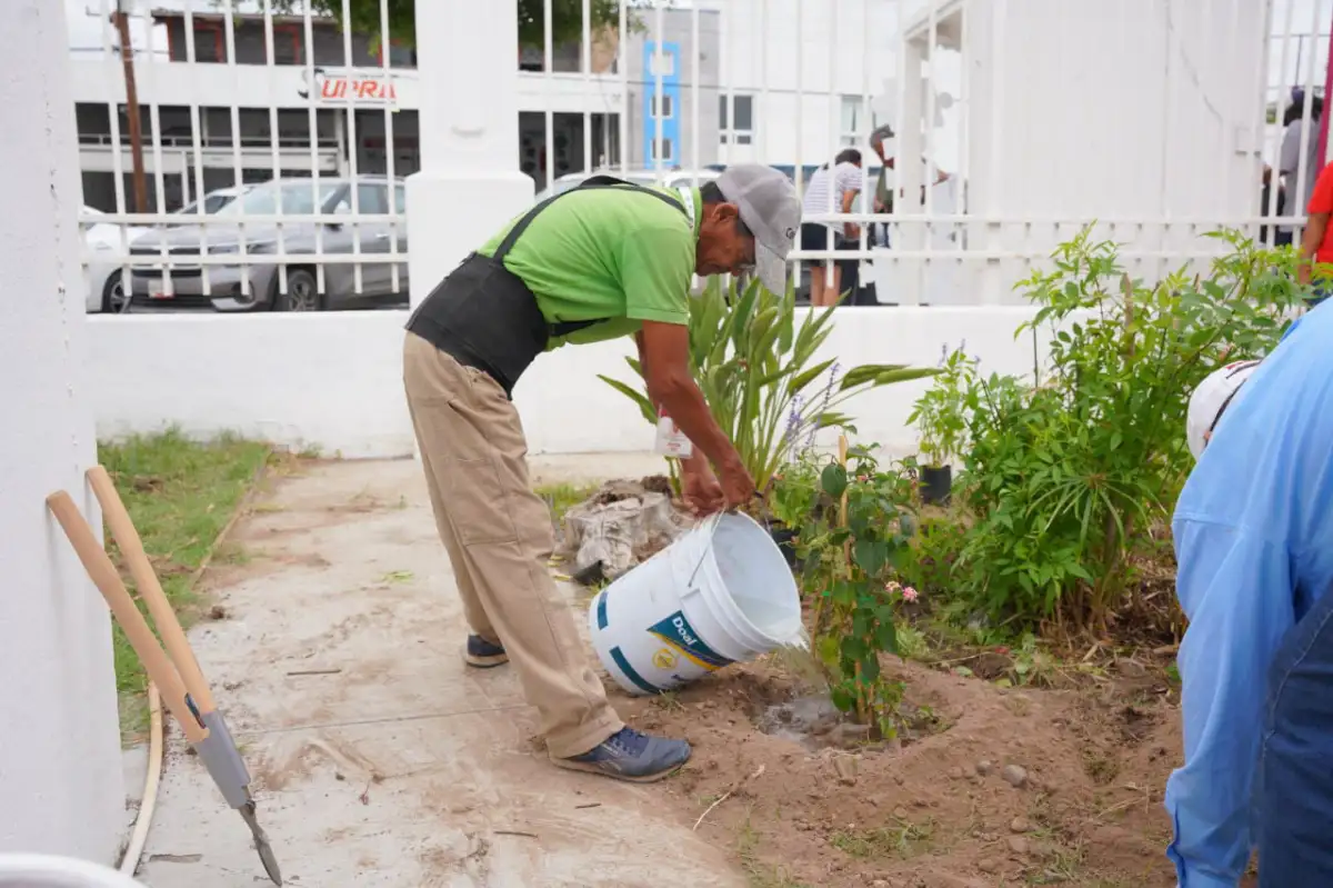 Suma Gobierno de Nuevo Laredo más de mil jardines polinizadores al desarrollo ambiental de la ciudad
